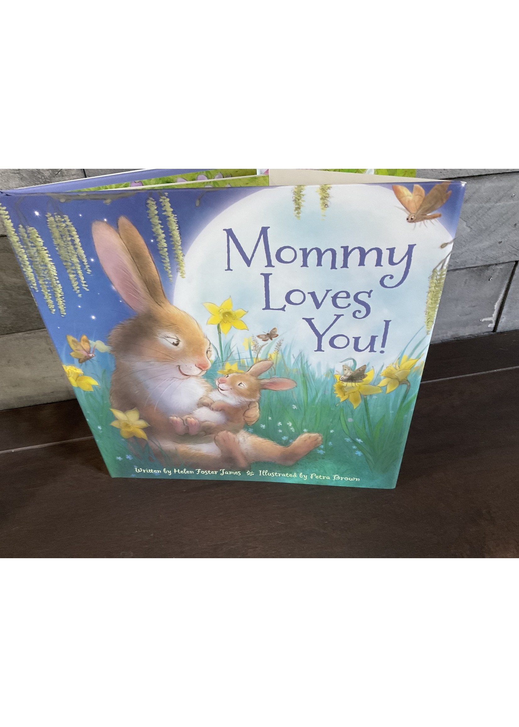 Sleeping Bear Press Mommy Loves You! Hardcover Picture Book