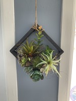 My New Favorite Thing Wood Square Grey Hanging Frame Succulents