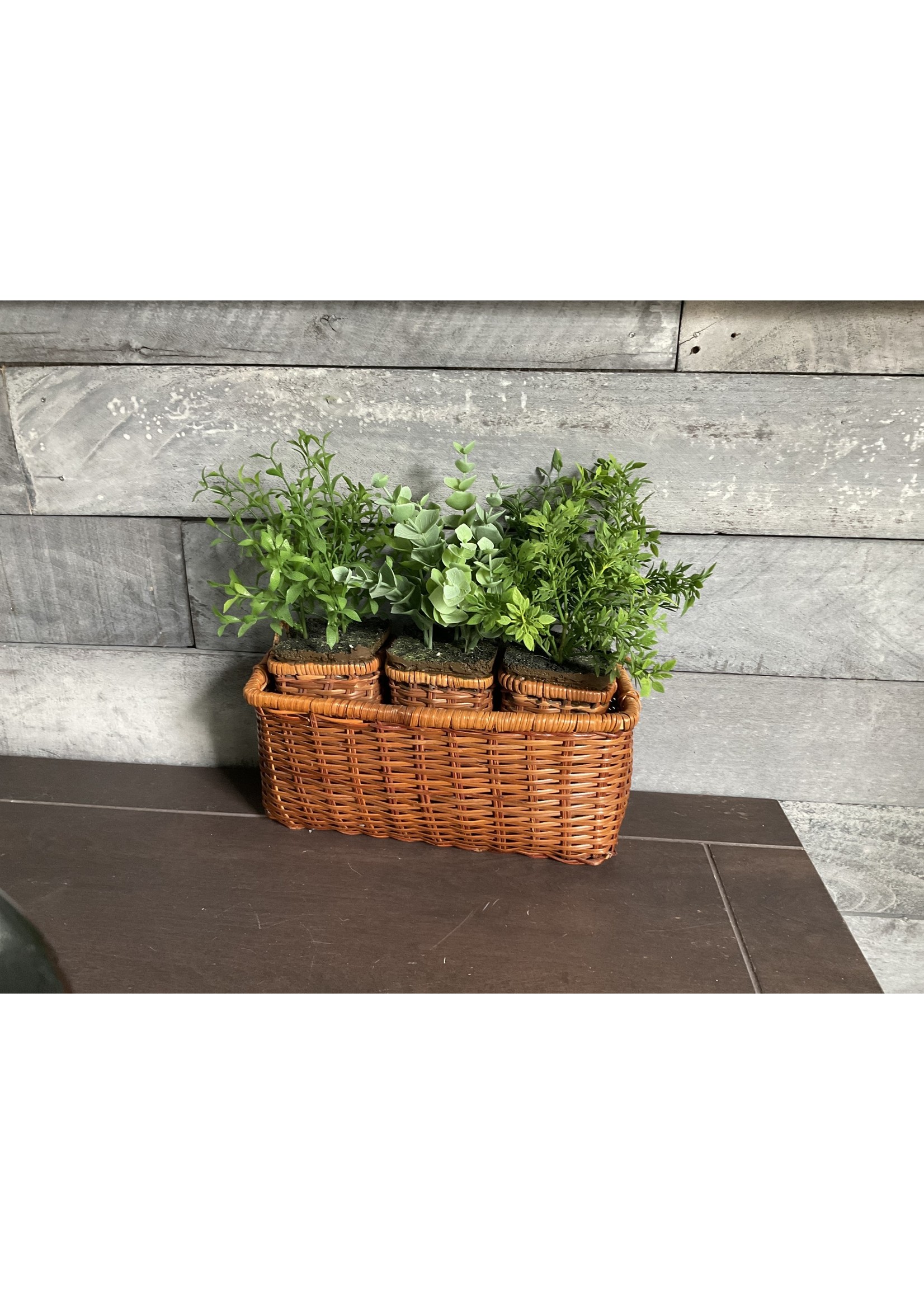 My New Favorite Thing Plants Wicker 3 Plant Basket