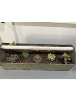My New Favorite Thing Succulents Tool Basket In Store Pick Up Only
