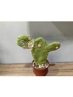 My New Favorite Thing Cactus w Butterfly