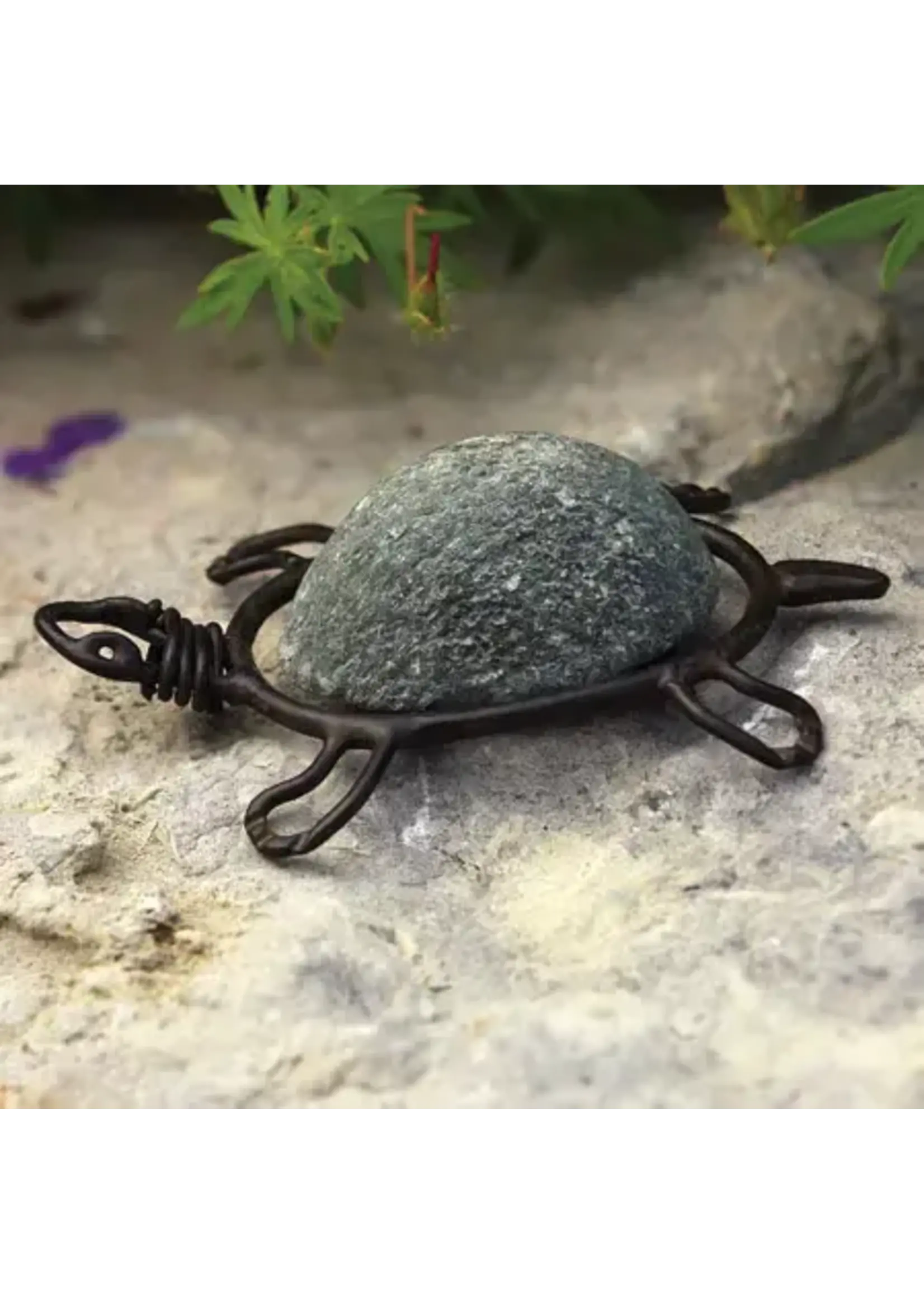 Ancient Graffiti Turtle River Stone Critter