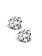 14K White Gold 1/3ctw Genuine Diamond Stud Earrings
