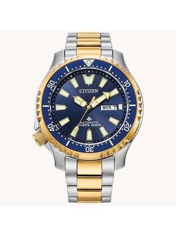 Citizen Promaster Dive Automatic Watch