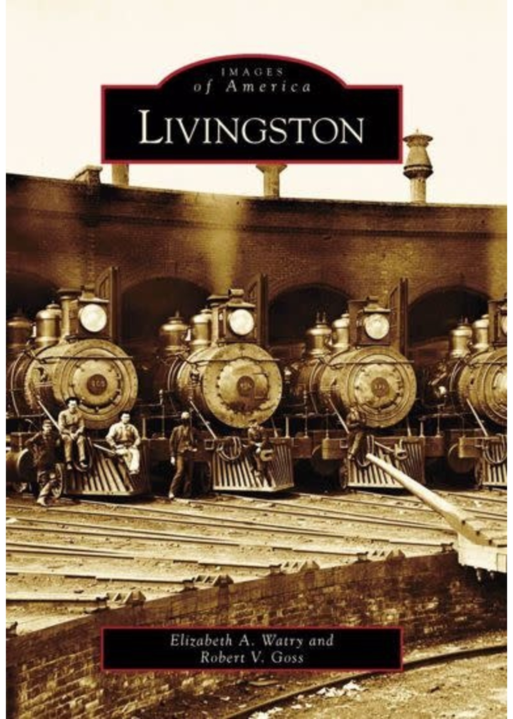 Arcadia Publishing Images of America Livingston