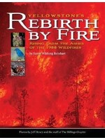 Farcountry Press Yellowstone’s Rebirth by Fire