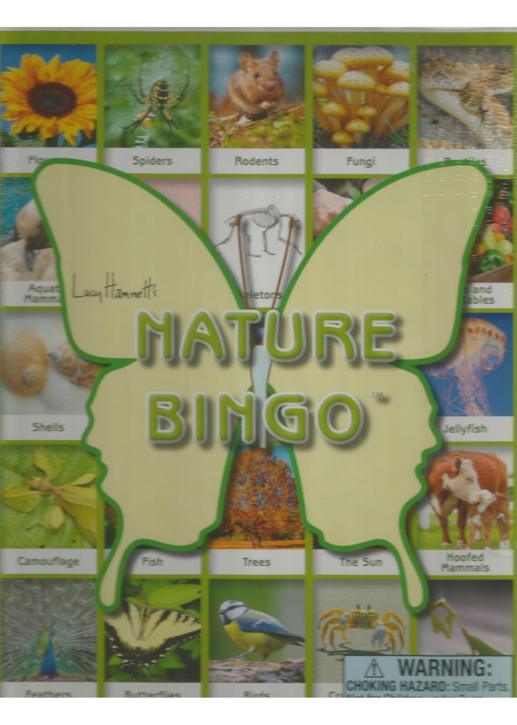 Lucy Hammett Games Nature Bingo