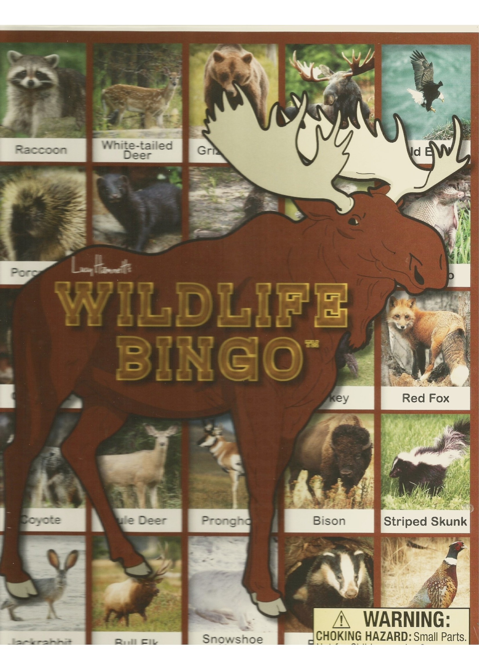 Lucy Hammett Games Wildlife Bingo