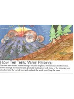 Postcard How the Trees Were Petrified