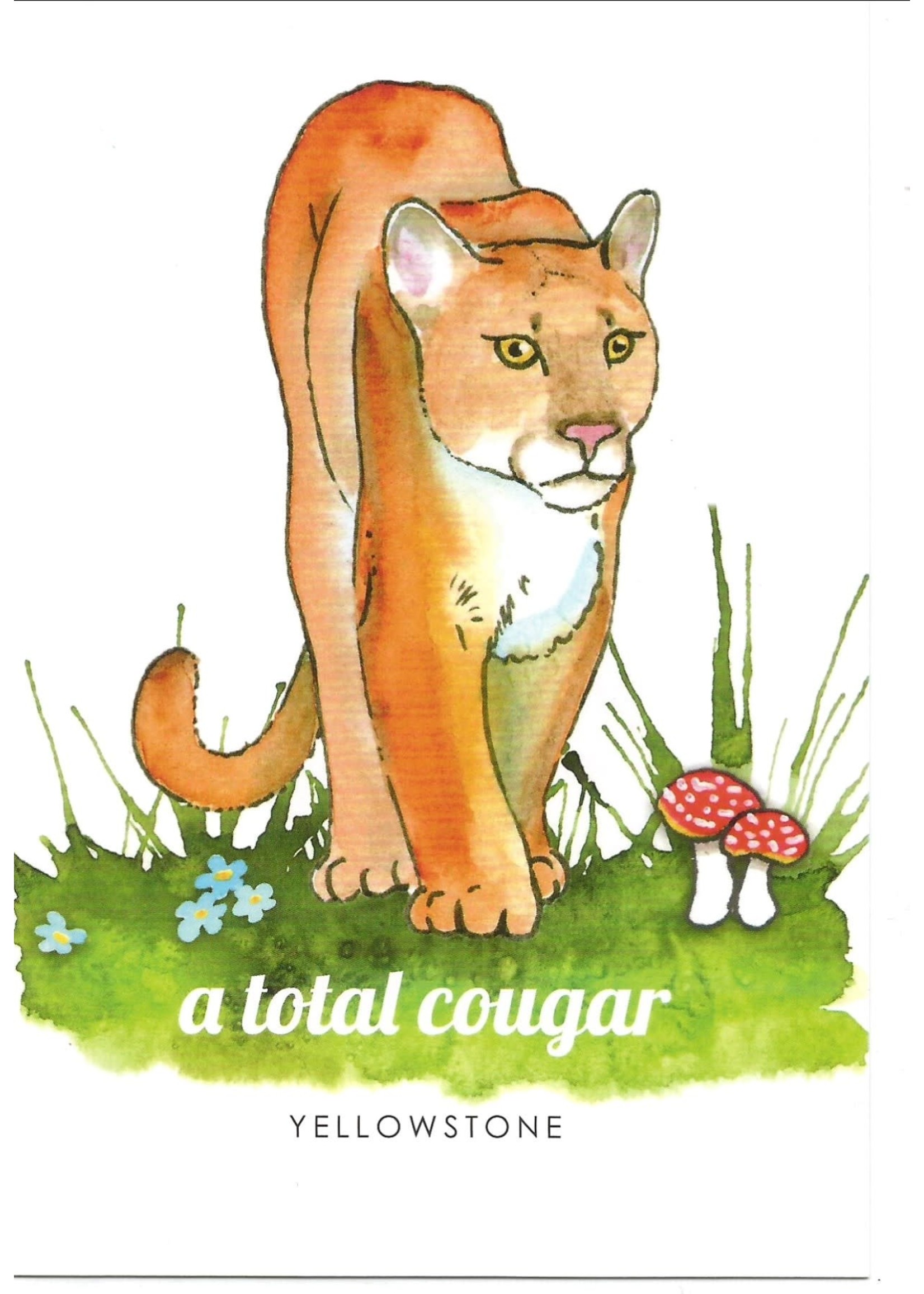 Postcard A Total Cougar
