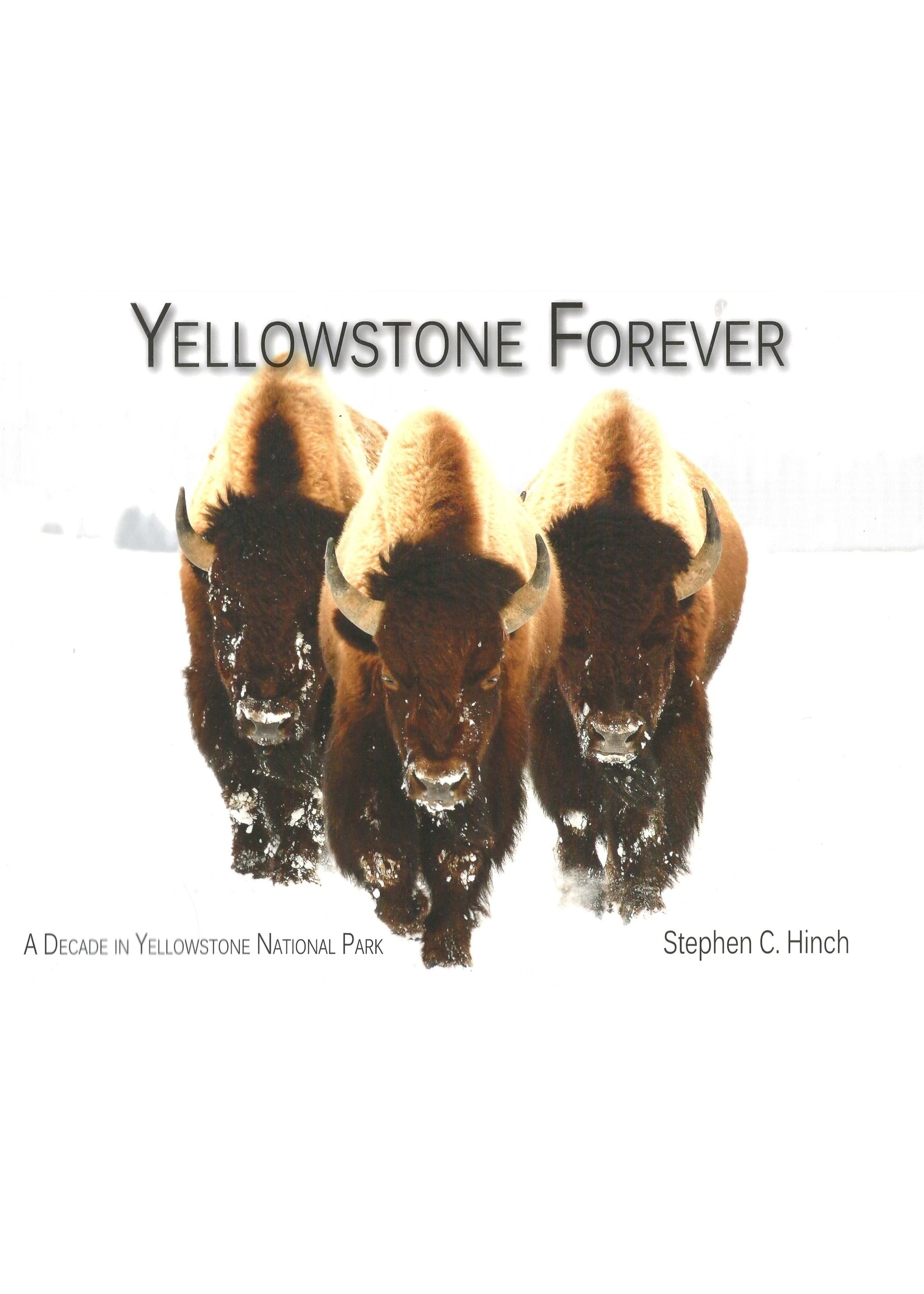Farcountry Press Yellowstone Forever