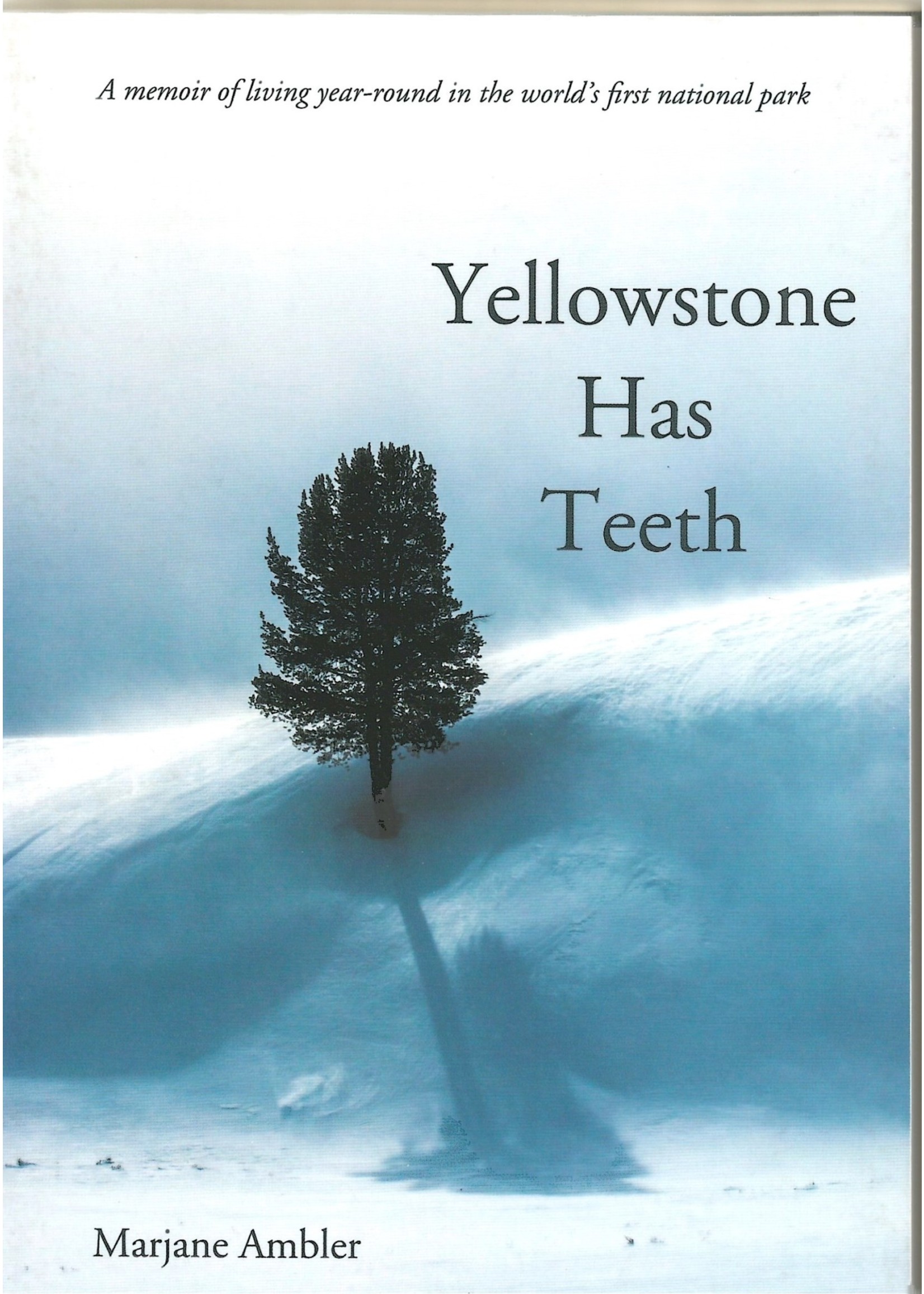 Riverbend Publishing Yellowstone Has Teeth