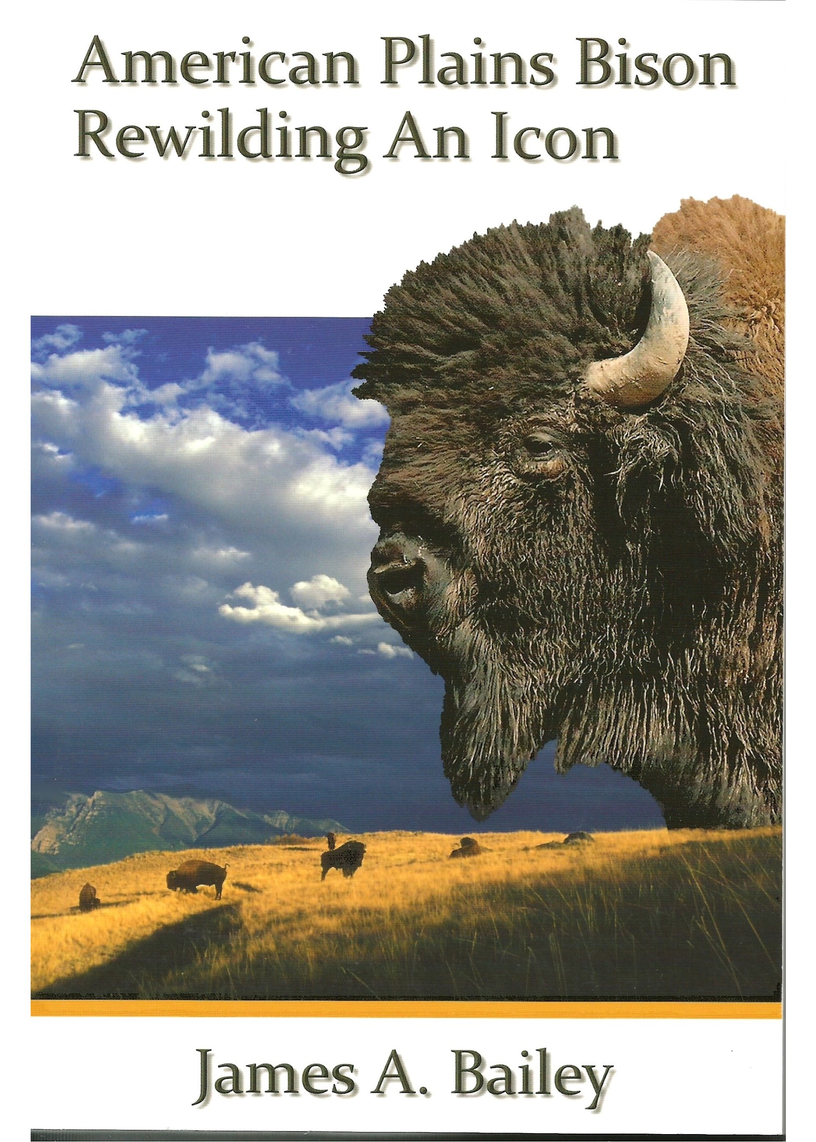 Sweetgrass Books American Plains Bison
