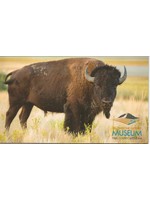 Magnet Bison