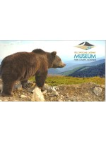 Magnet Grizzly Bear