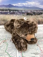 Aurora Stuffed Brown Bear Mini Flopsie