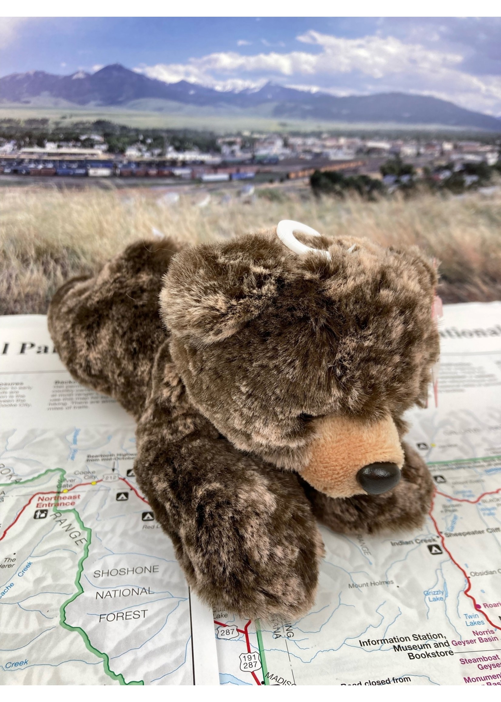 Aurora Stuffed Brown Bear Mini Flopsie