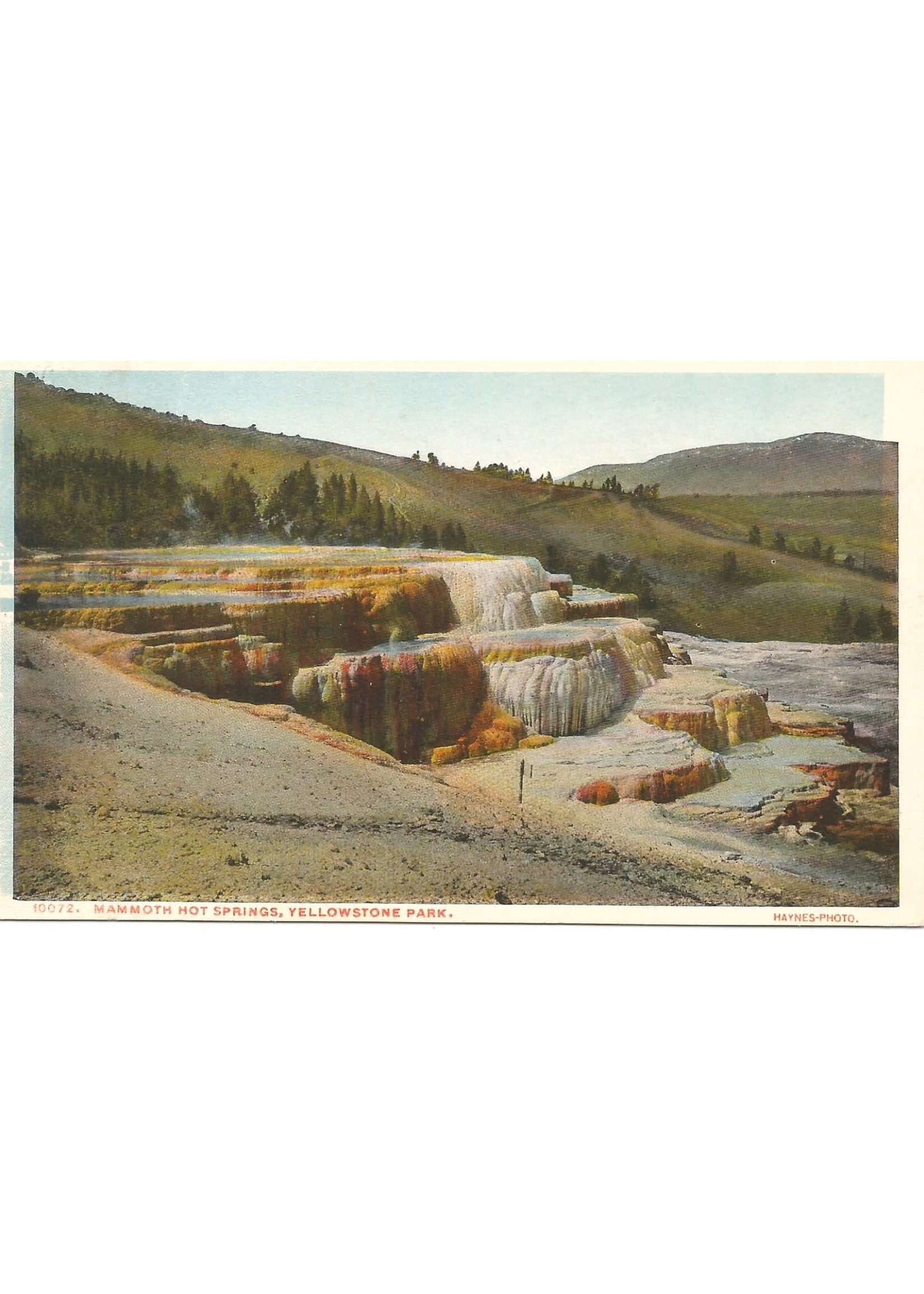 YNP 150th Mammoth Hot Springs 10072