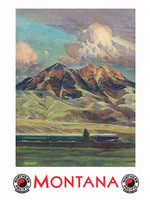 NPR "Comet" in Paradise Valley Poster