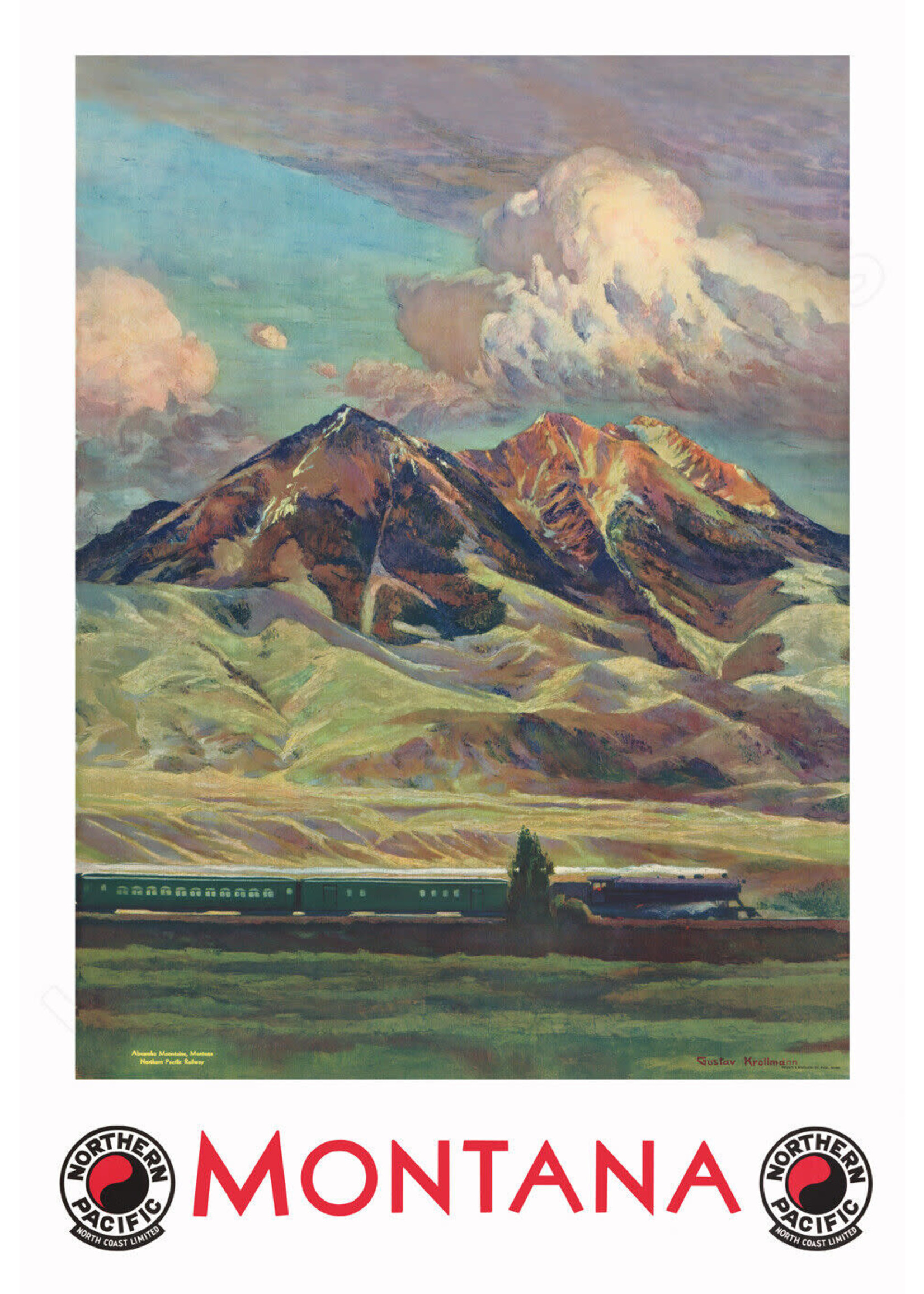 NPR "Comet" in Paradise Valley Poster