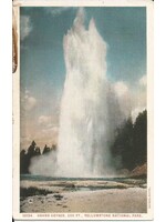 YNP Postcard Grand Geyser 10154 Damaged