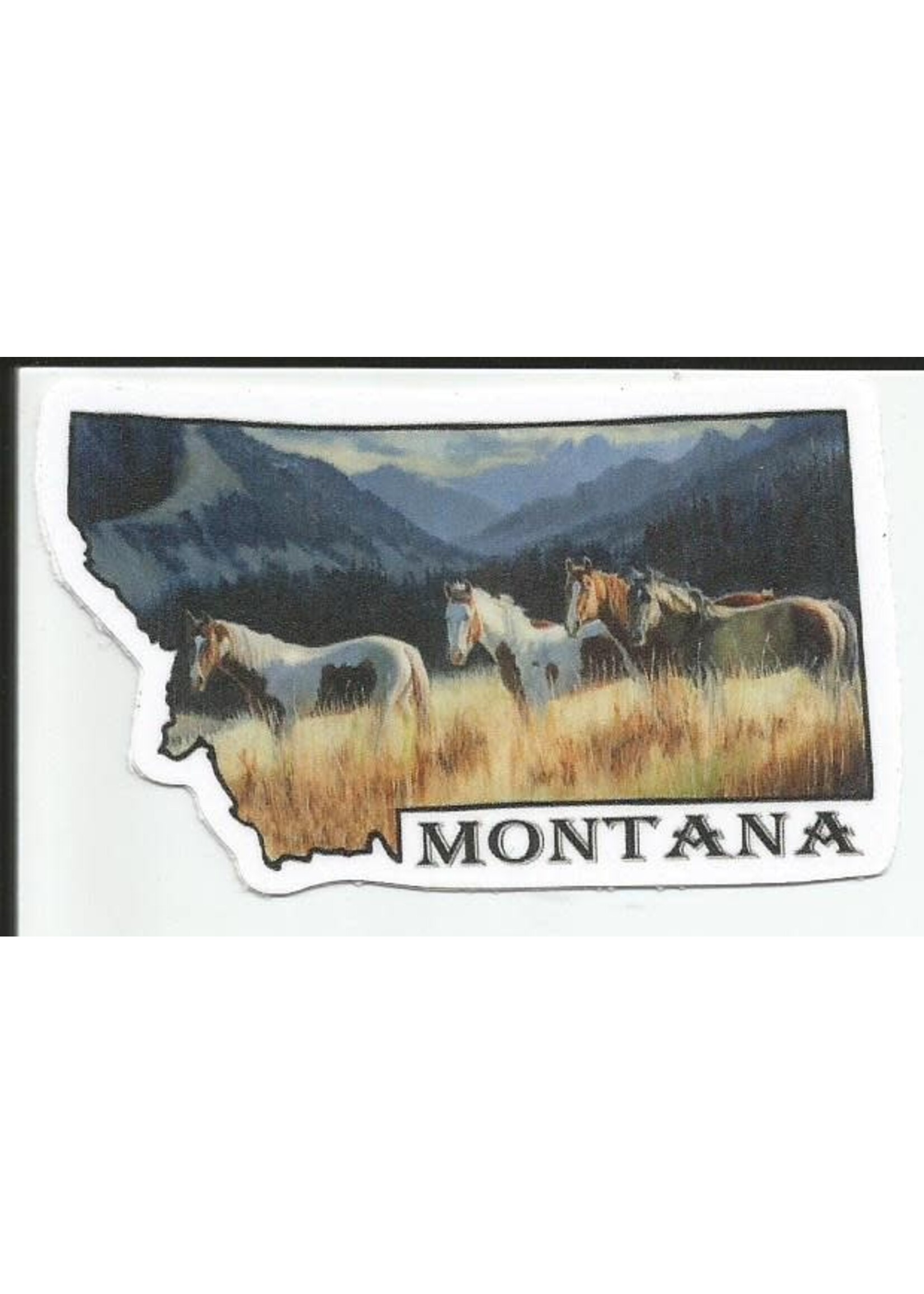VAW Free Range MT