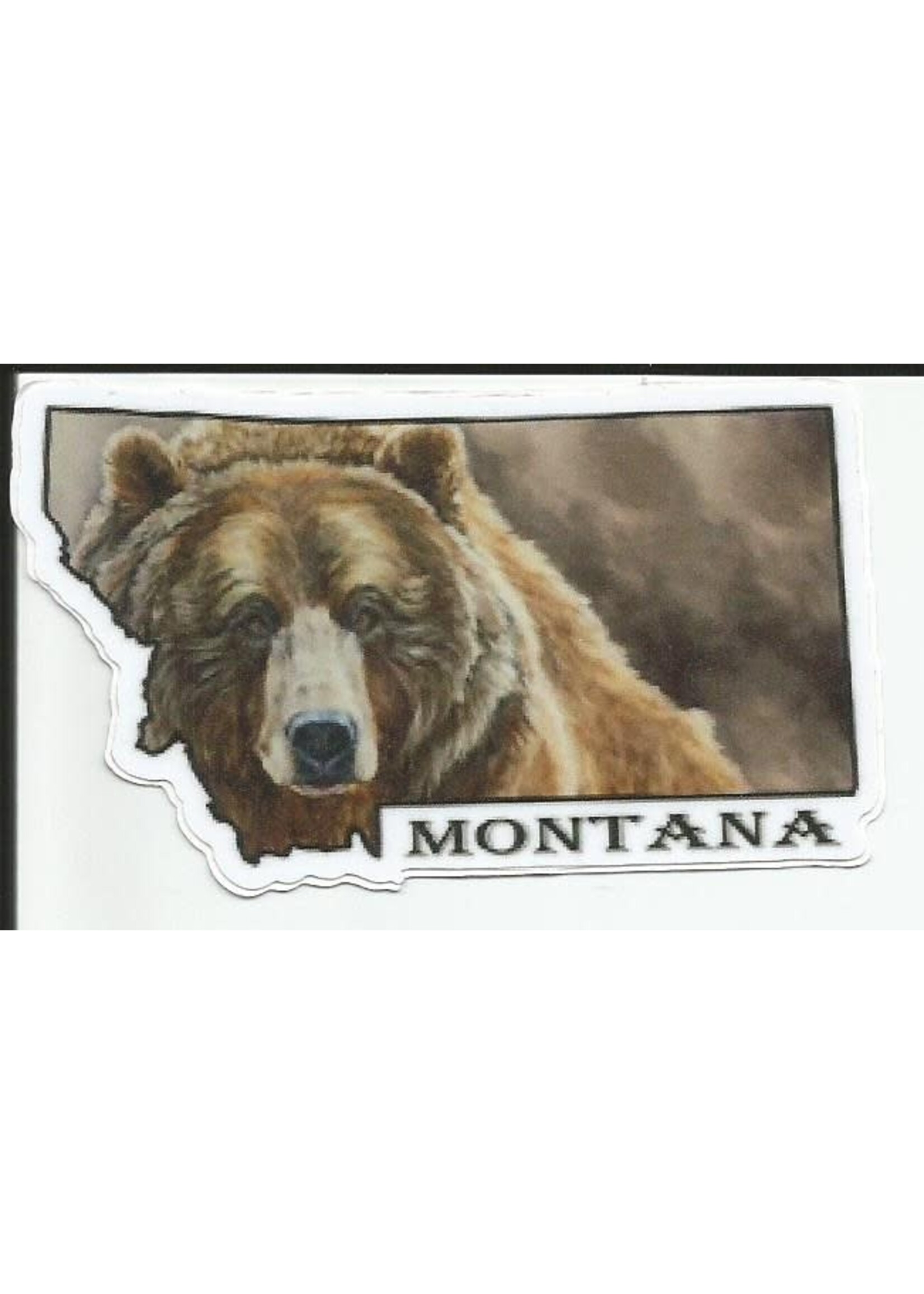 VAW Bella MT Sticker