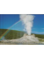 3D Geyser Postcard