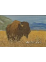 3D Bison in Grass  Postcard