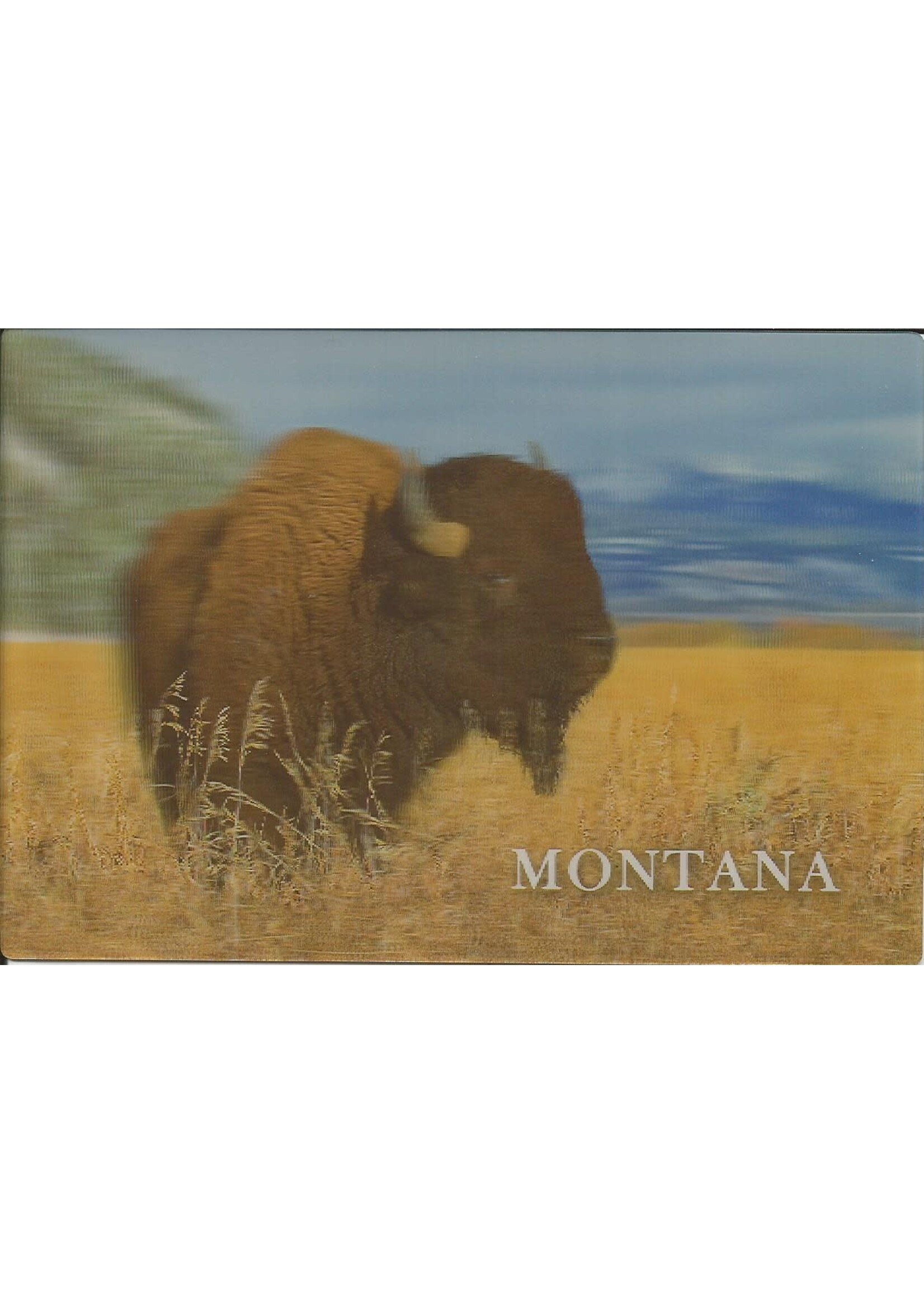 3D Bison Postcard