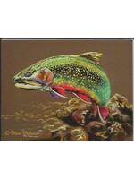 MMA Trout Magnet