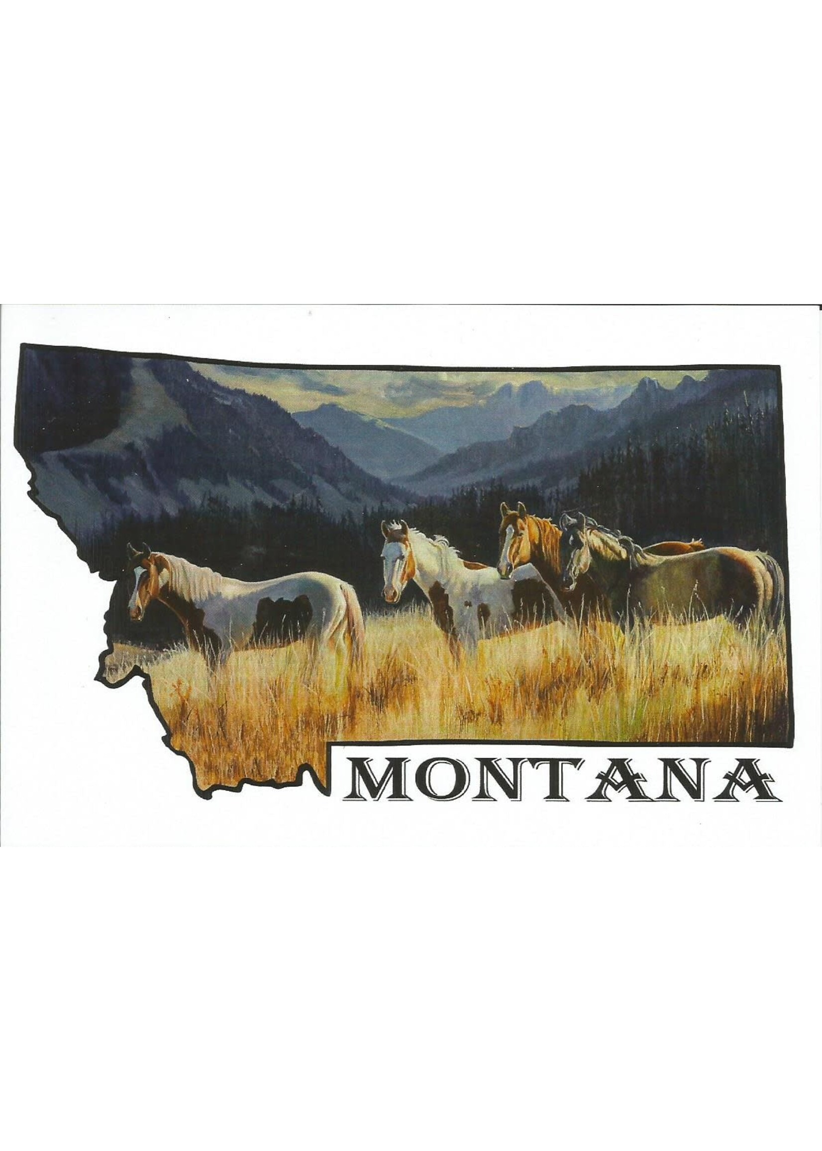 VAW Postcard Free Range