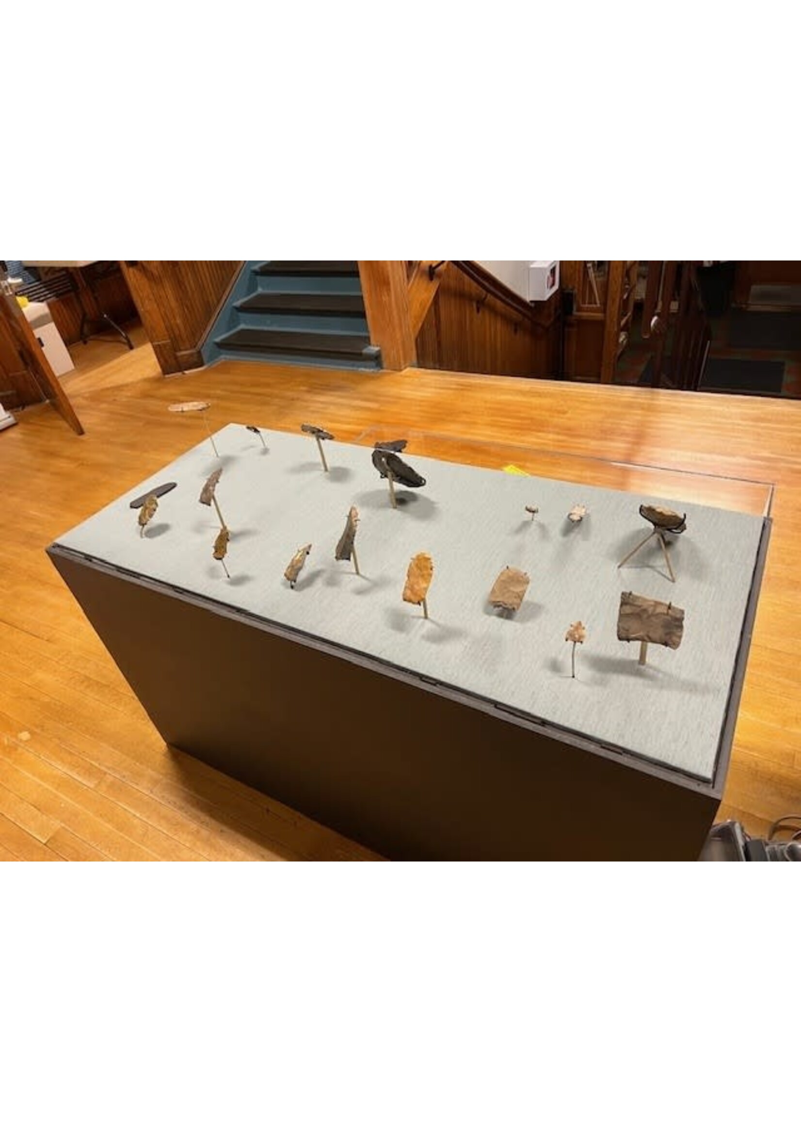 Archaeological Storage & Exhibit Cases