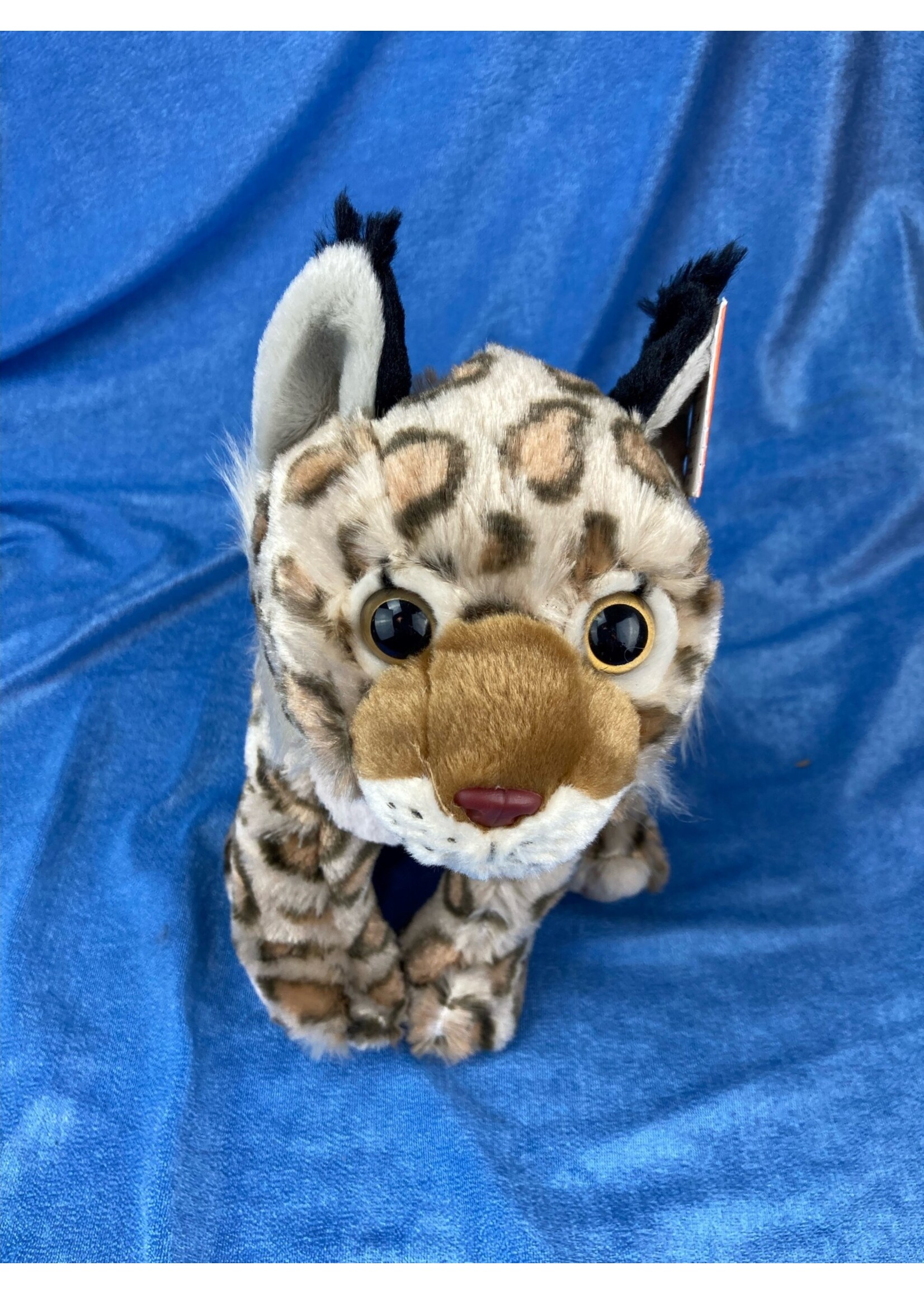 WR Cuddlekin Bobcat 12"