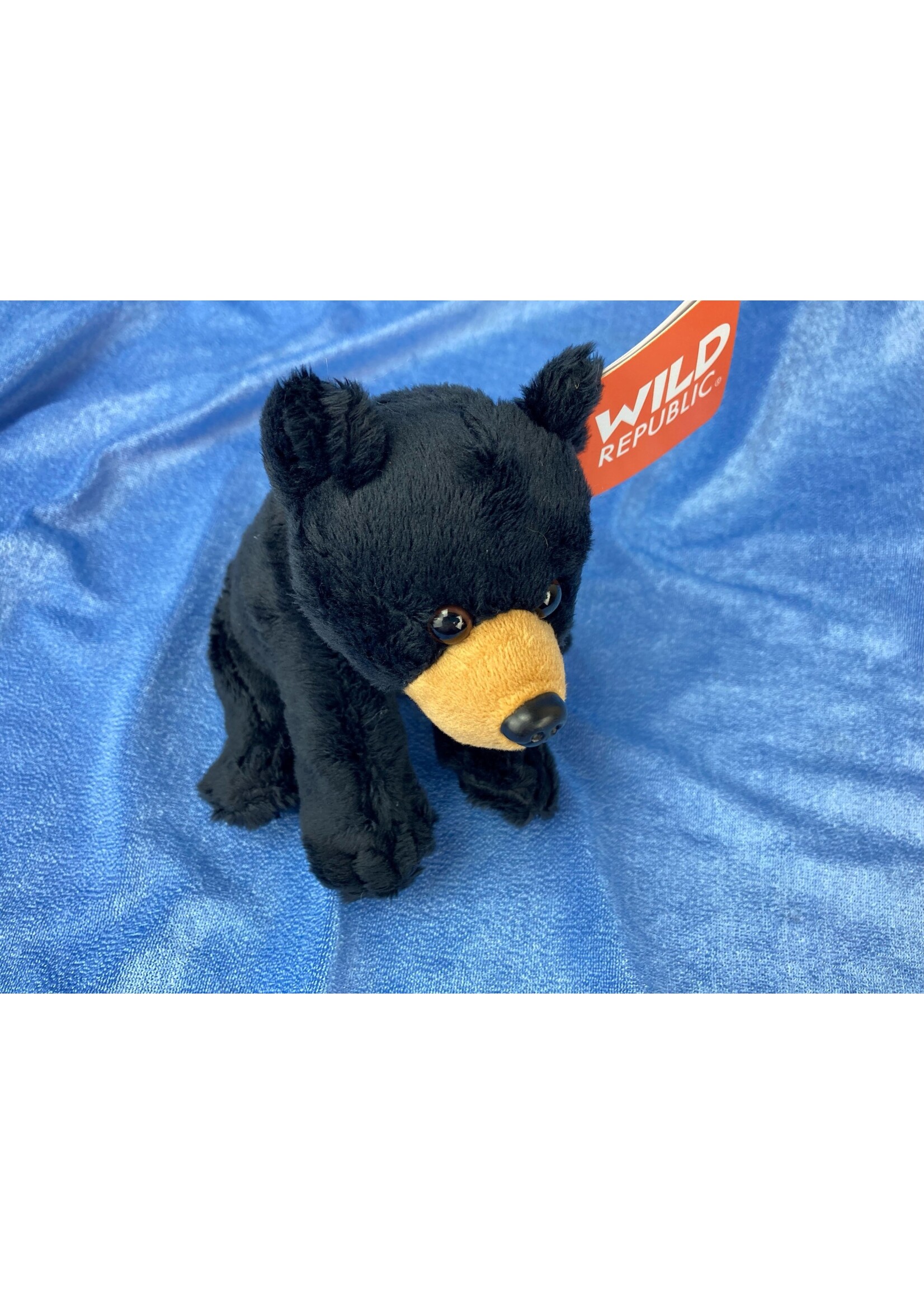 WR Wild Calls Black Bear