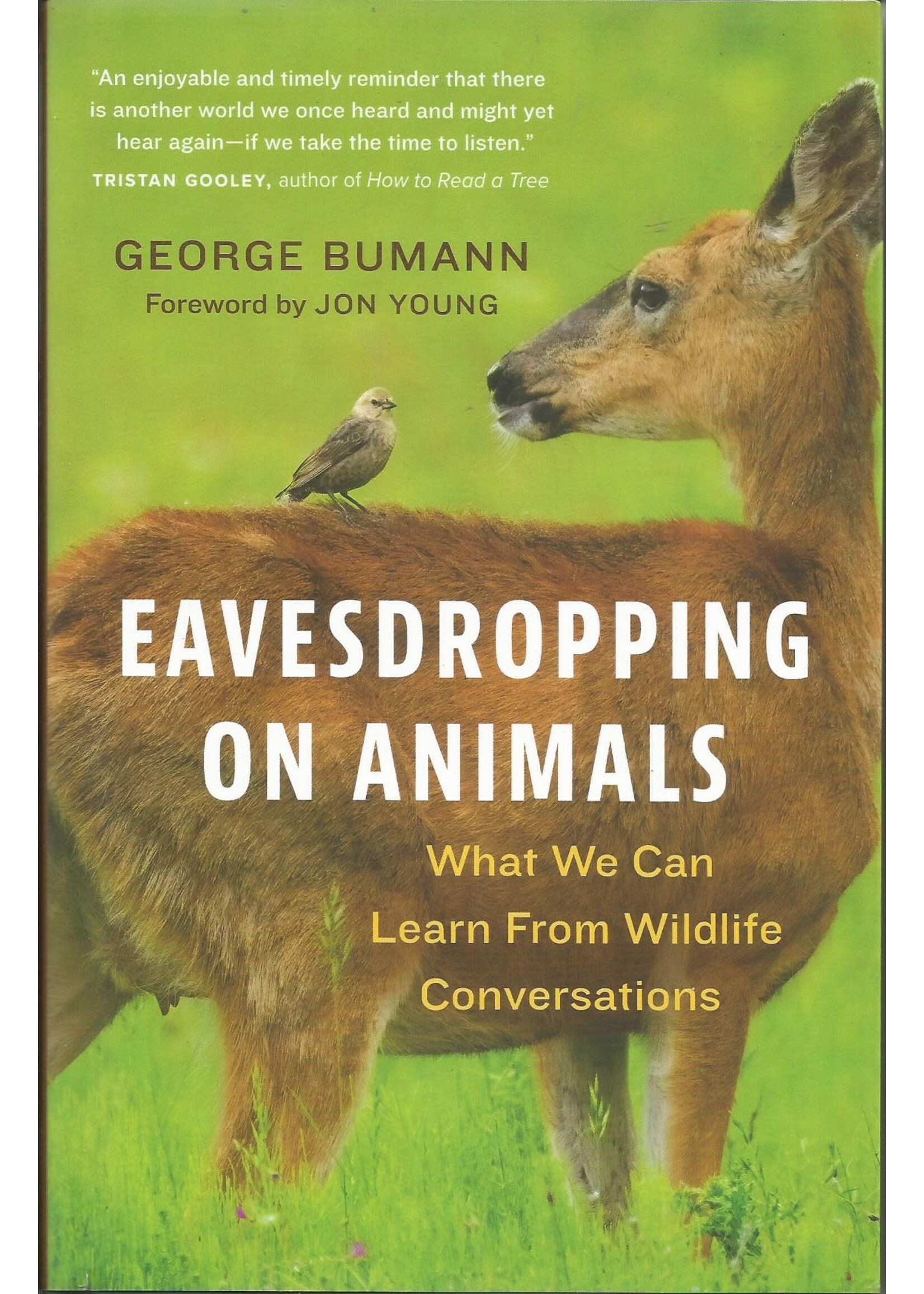Eavesdropping on Animals Hardback