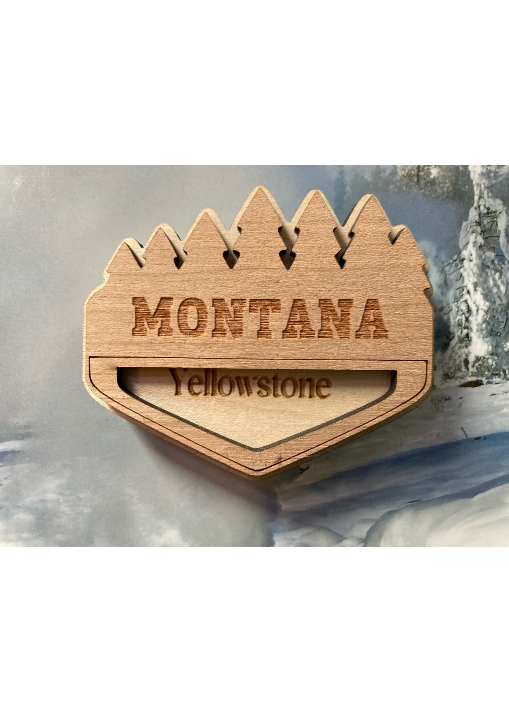 AnH Silvertip Family AnH Magnet Yellowstone