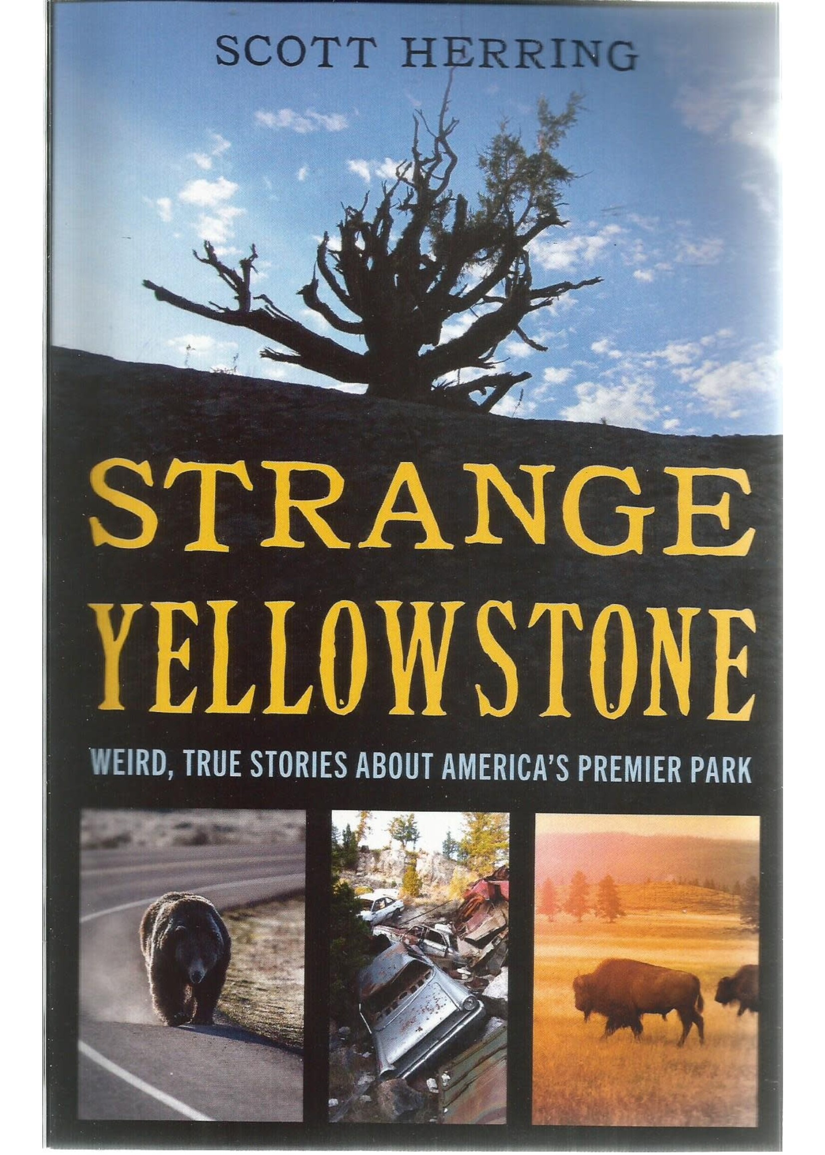 Strange Yellowstone
