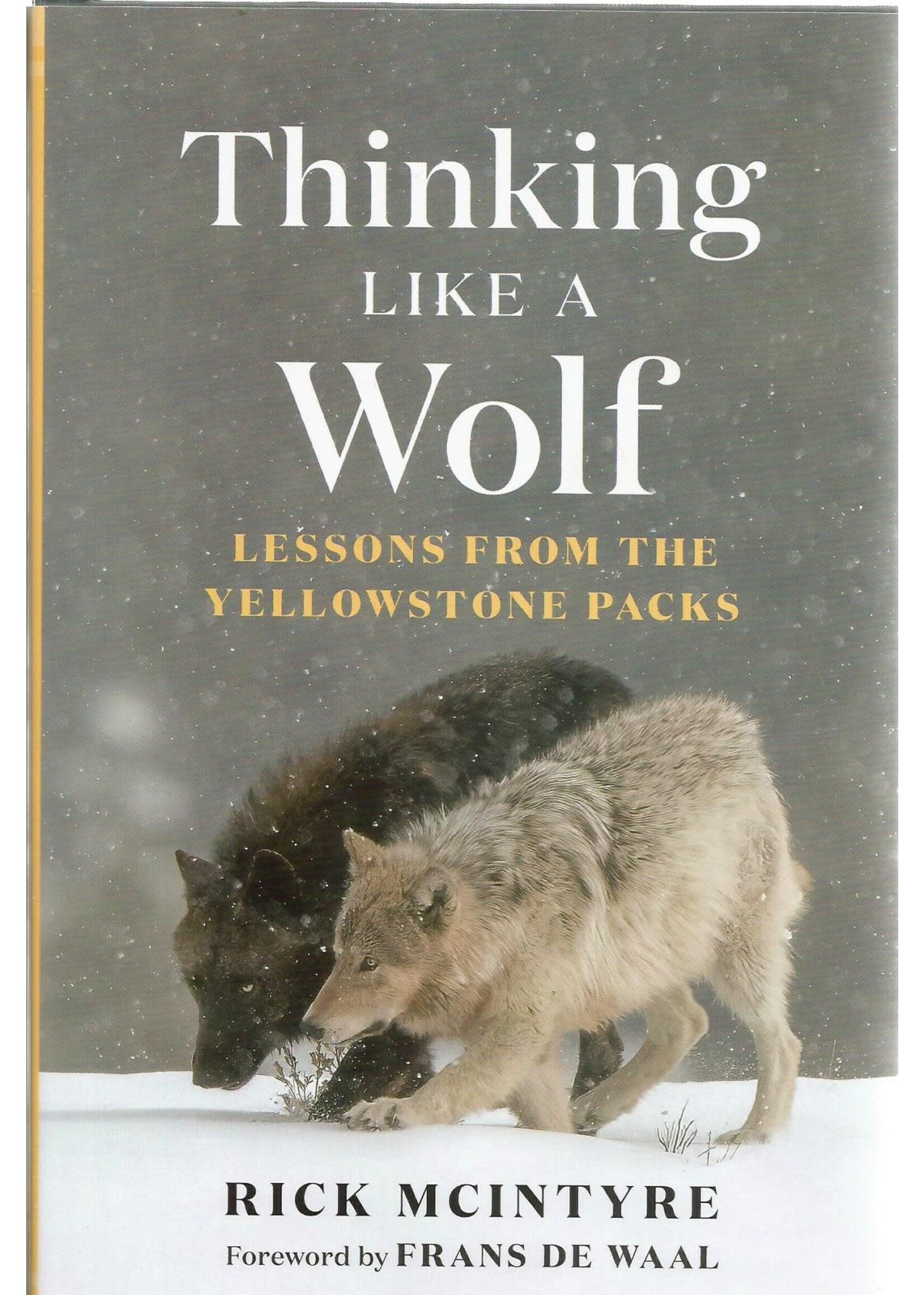 Thinking Like a Wolf Hardcover