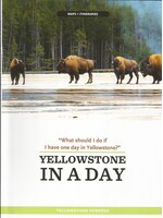 YF Yellowstone in a Day