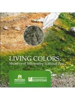 YF Living Colors: Microbes of YNP