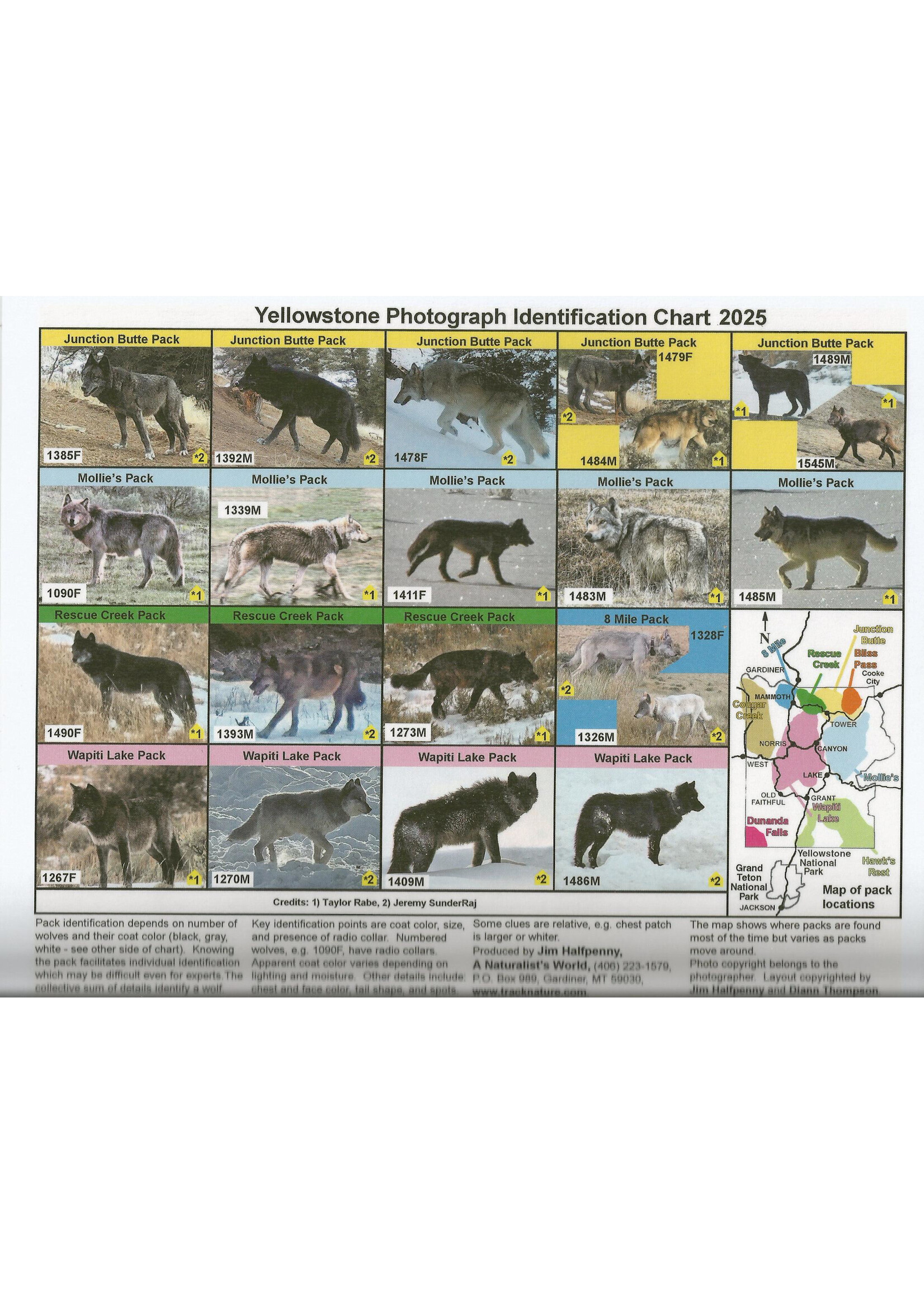 Halfpenny NW 2025 Wolf Chart