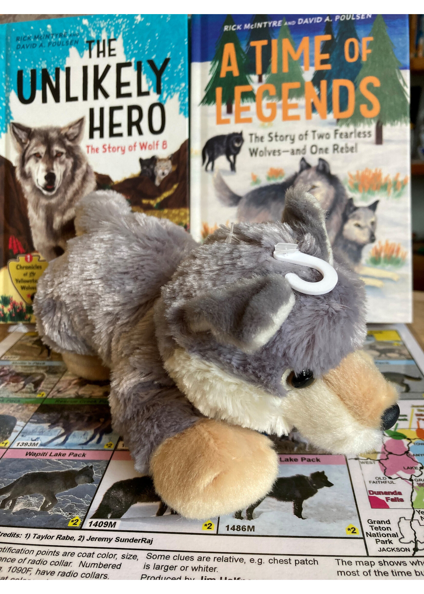 Stuffed Aurora Woolsey Wolf