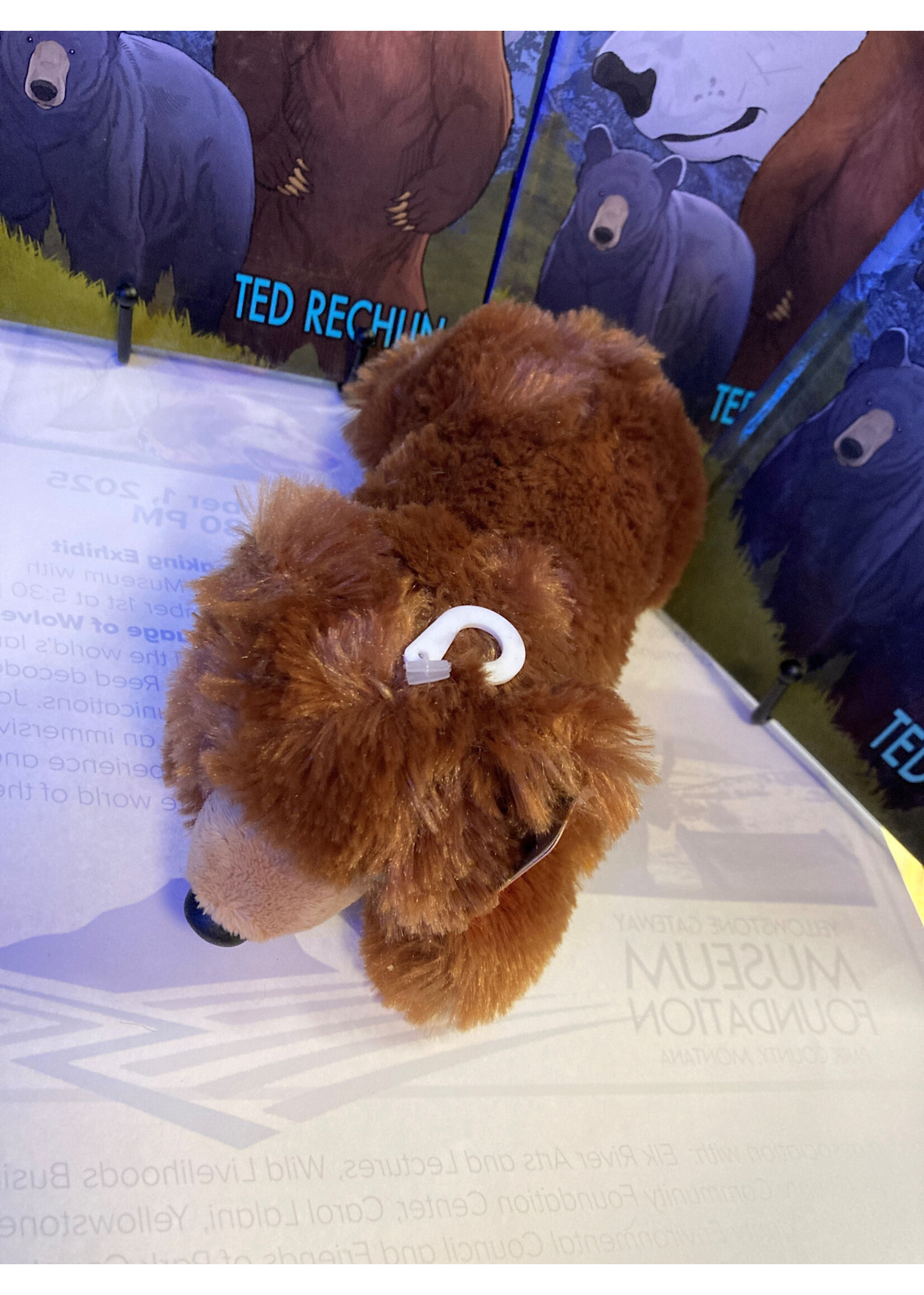 Stuffed Aurora Gayle Grizzly Bear