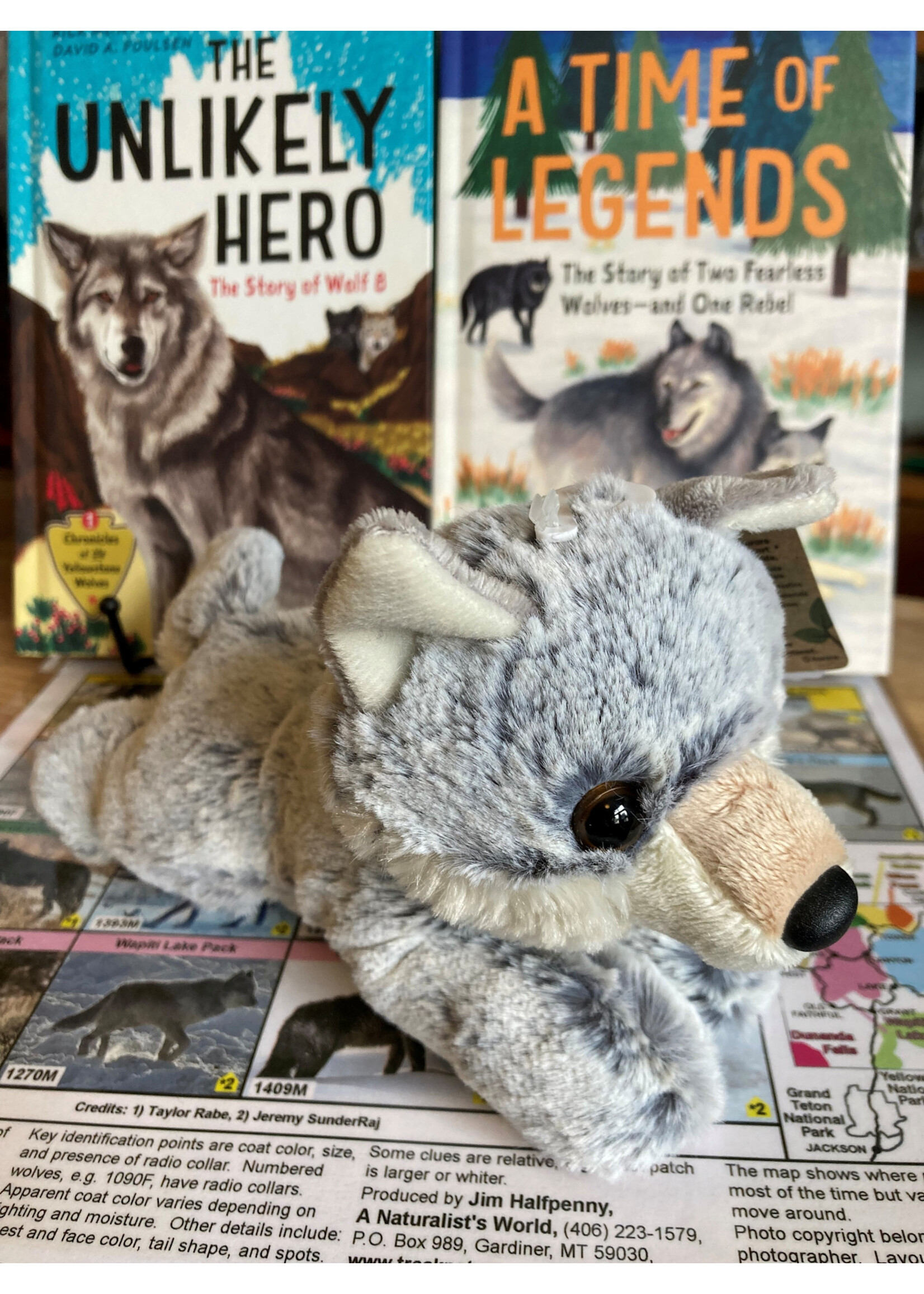 Stuffed Aurora Flopsie Winter Wolf