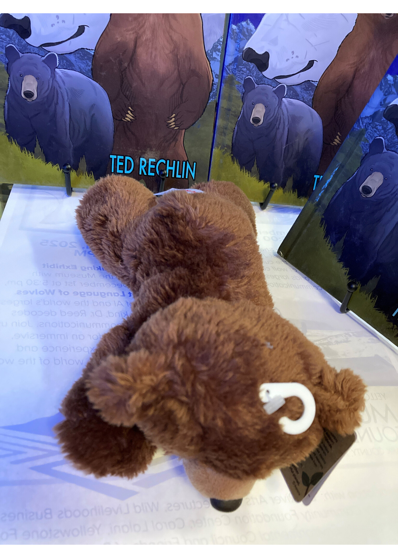 Stuffed Aurora Barnsworth Bear