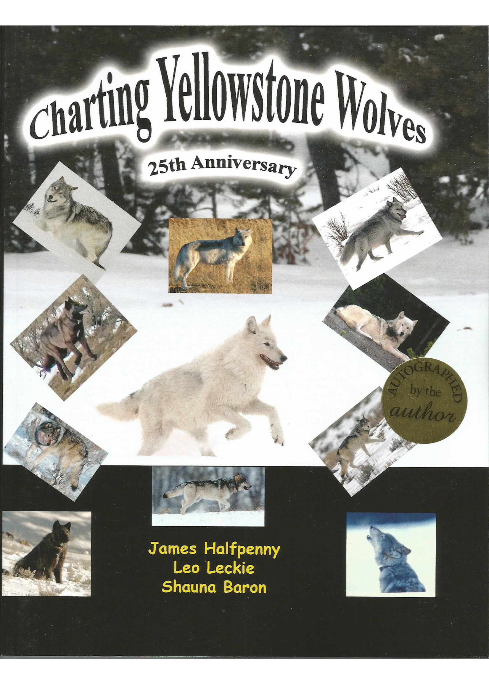 Halfpenny ANW Charting Yellowstone Wolves 25th Anniversary