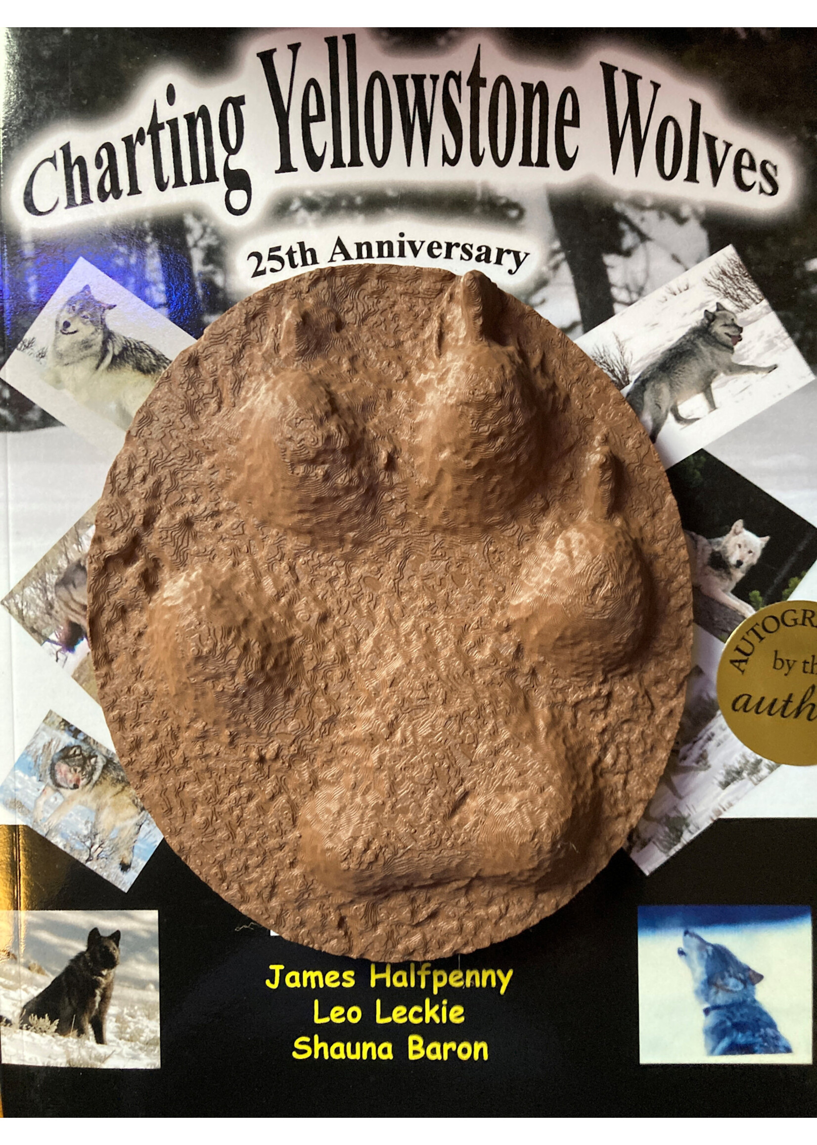 NW 3D Printed Wolf Paw Cast