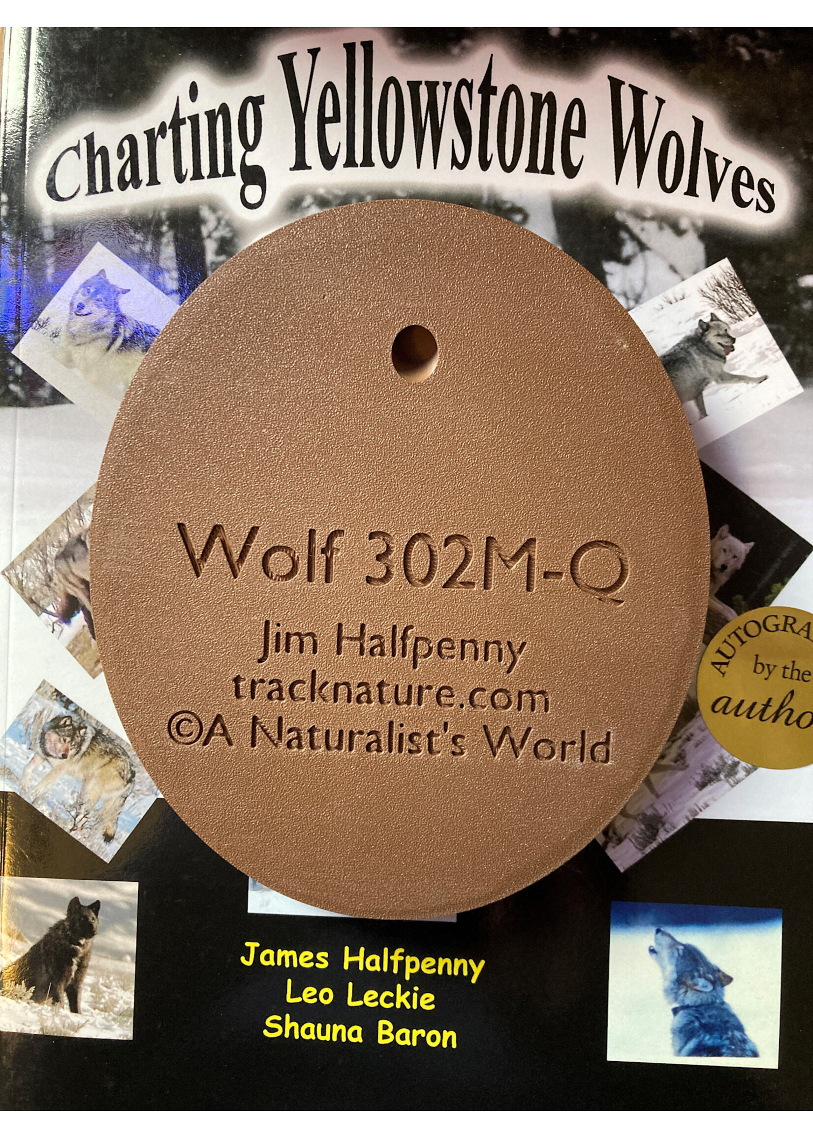 ANW 3D Printed Wolf (302M-Q) Paw Cast