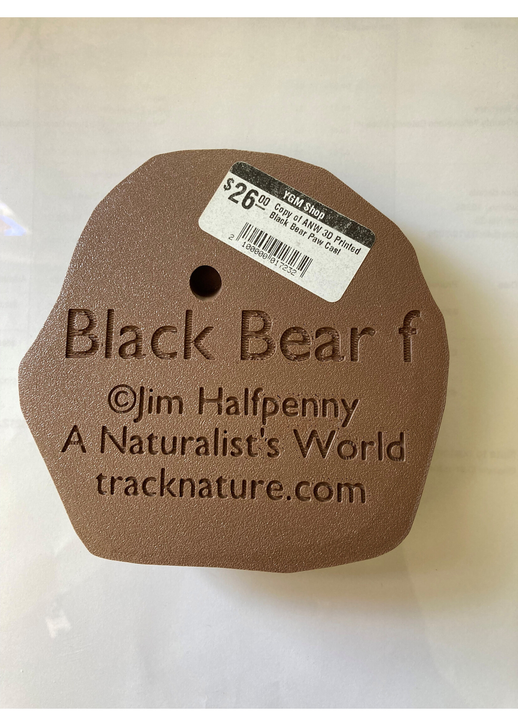 ANW 3D Printed Black Bear Paw Cast